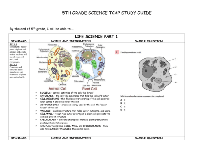 Tcap practice test 5th grade science