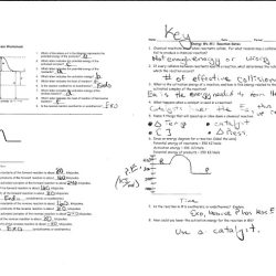 Pogil electron configurations answer key