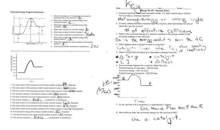 Pogil electron configurations answer key