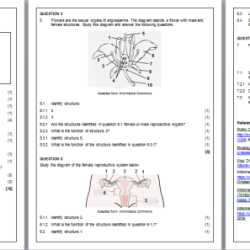 Tcap practice test 5th grade science