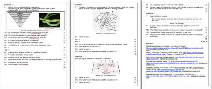 Tcap practice test 5th grade science