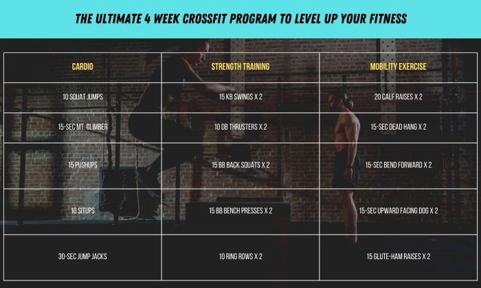 Pdf crossfit level 1 test cheat sheet