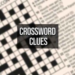 Type of ulcer crossword clue