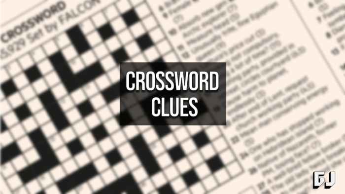 Type of ulcer crossword clue