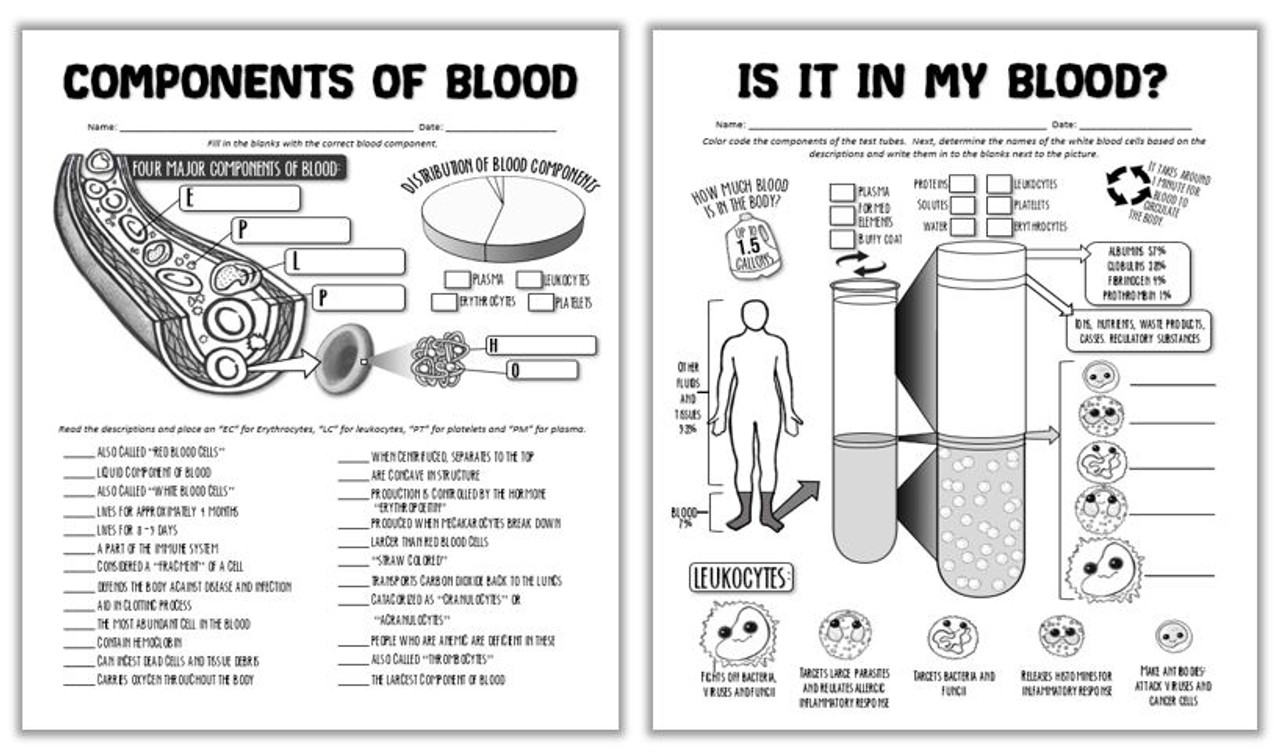 Components of blood worksheet answers