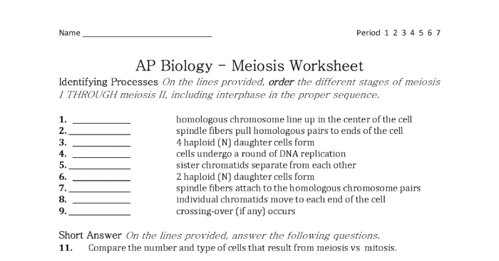 Mitosis and meiosis study guide answer key