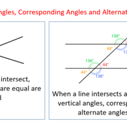 Geometry pairs of angles worksheet