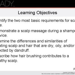 Chapter 15 scalp care shampooing and conditioning